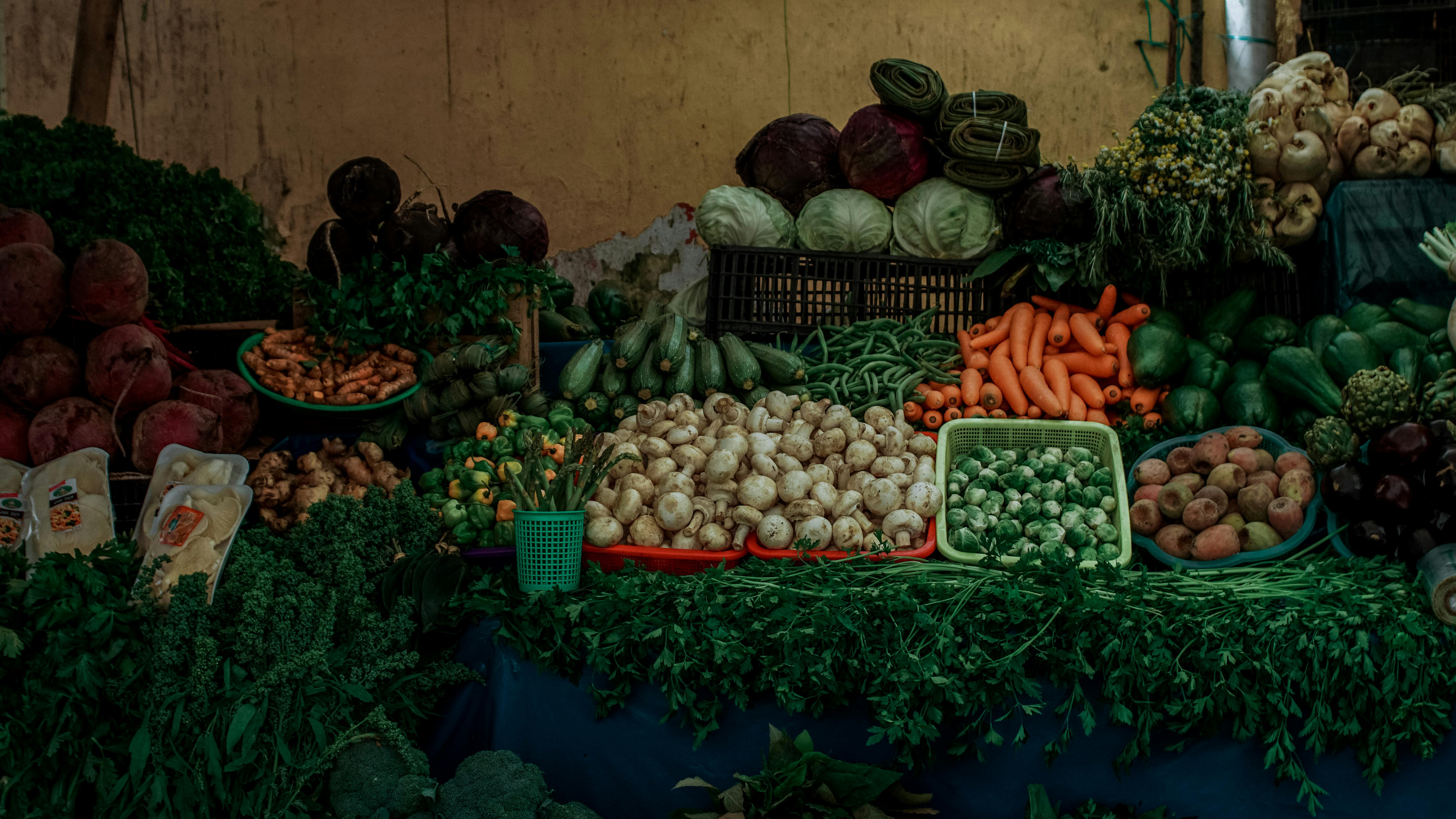 German Mushroom Harvest Declines in 2024
